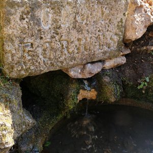 Ödön forrás