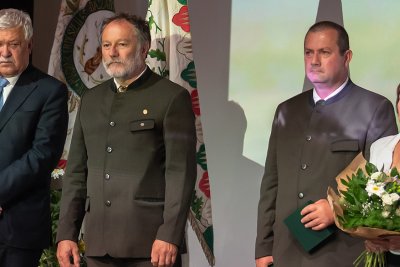 Szakmai kitüntetések munkatársainknak
