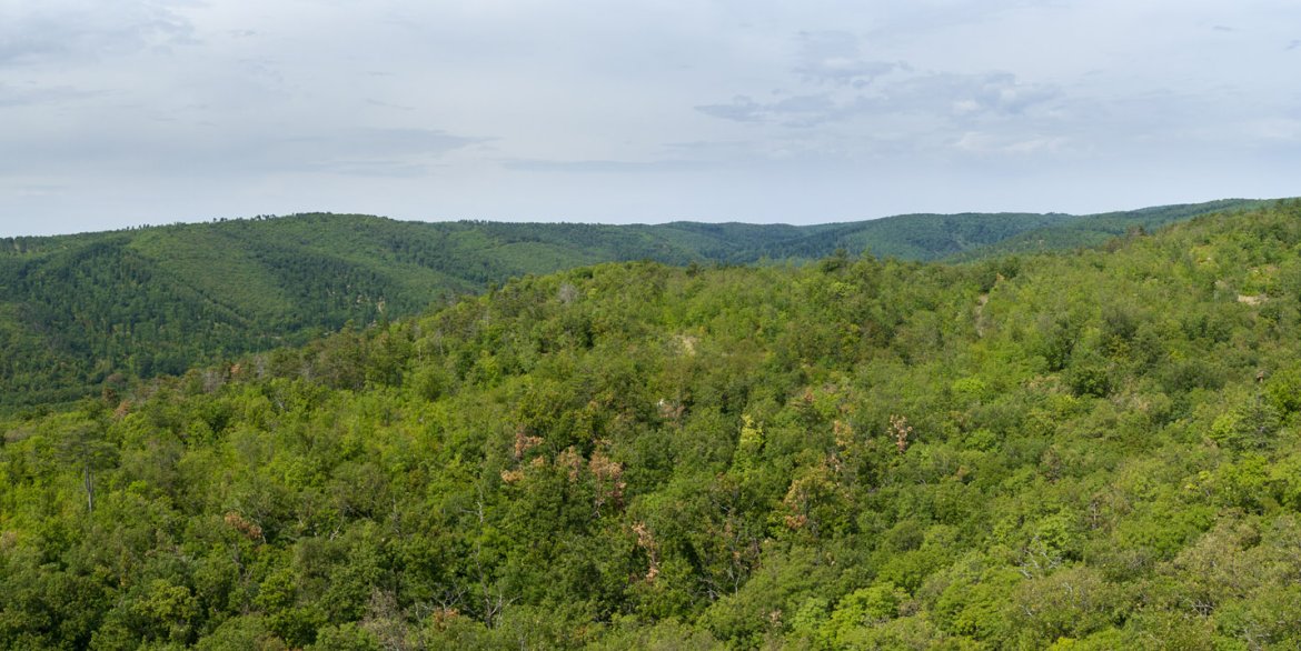 Batsányi kilátó