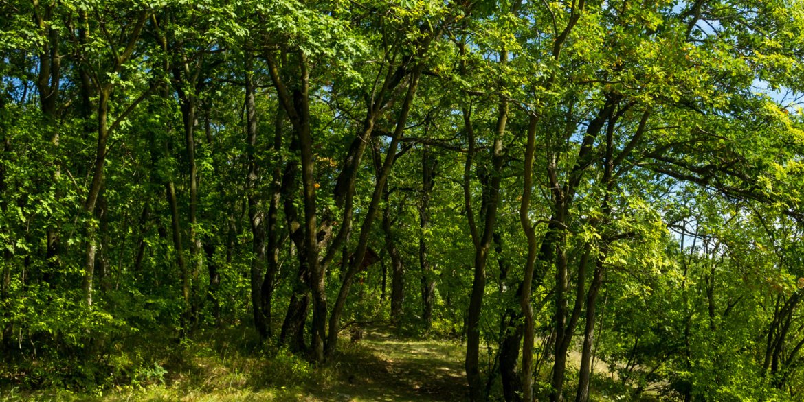 Forrasztókői Egzótakert