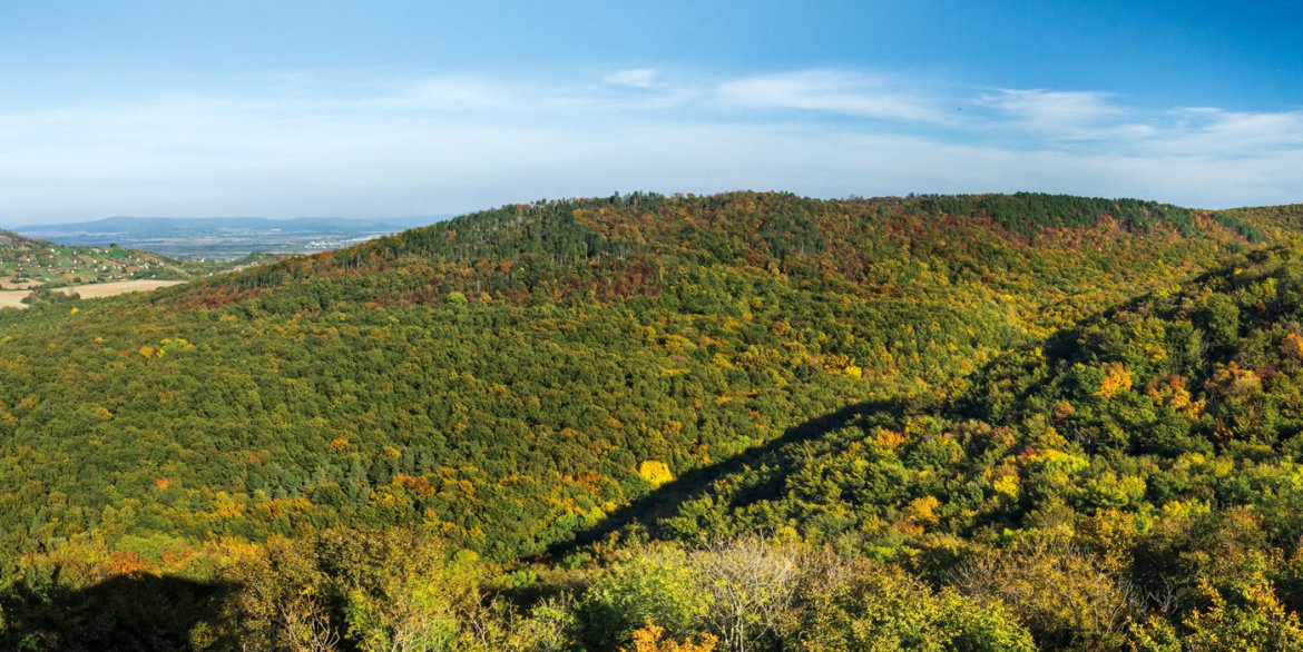 Láz-hegyi kilátó