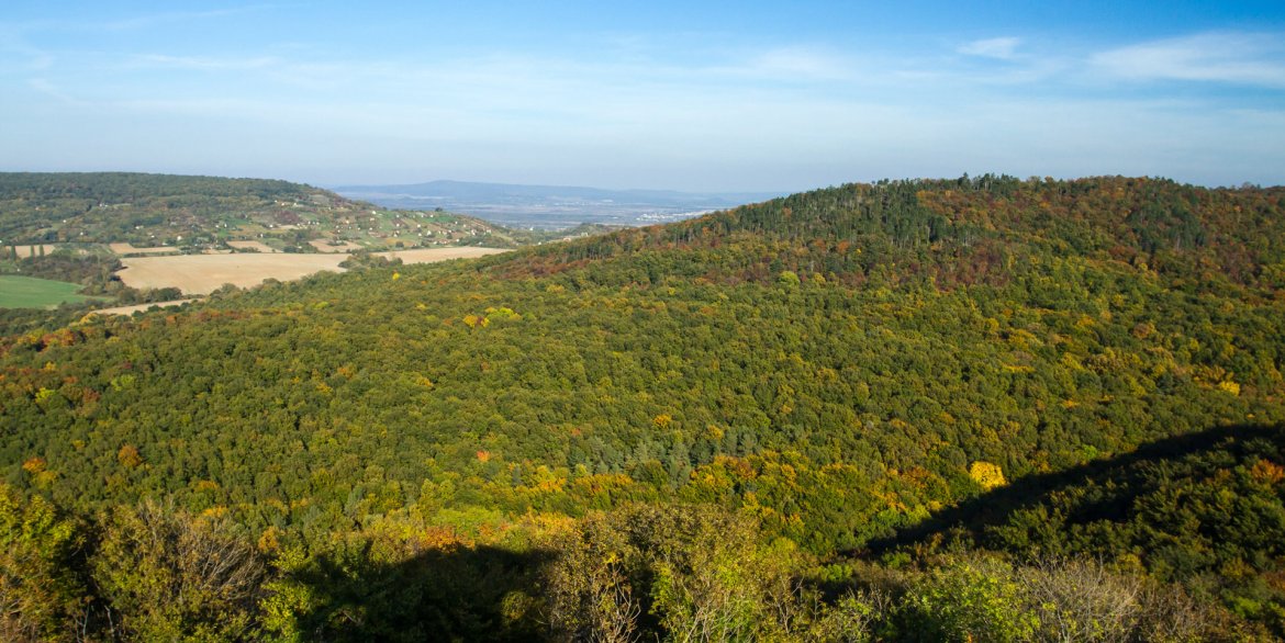 Láz-hegyi kilátó
