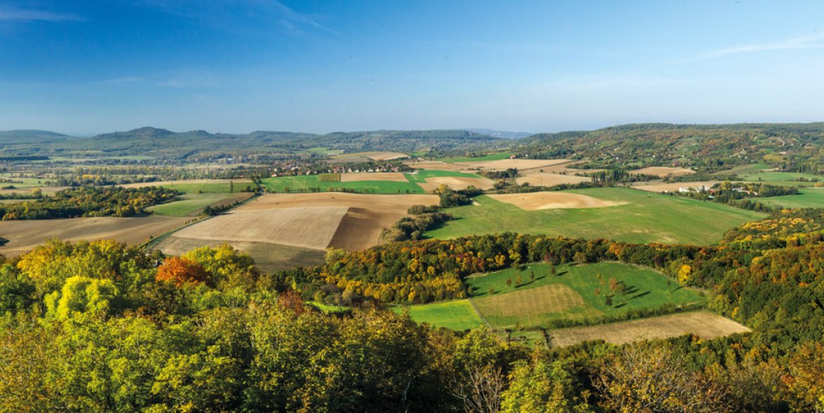 Láz-hegyi kilátó