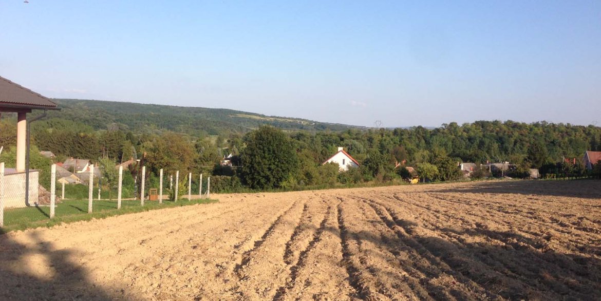 Bakonyszentkirályi eladó telkek