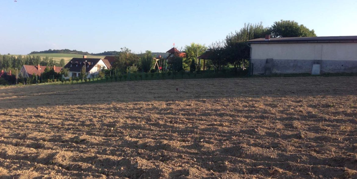 Bakonyszentkirályi eladó telkek