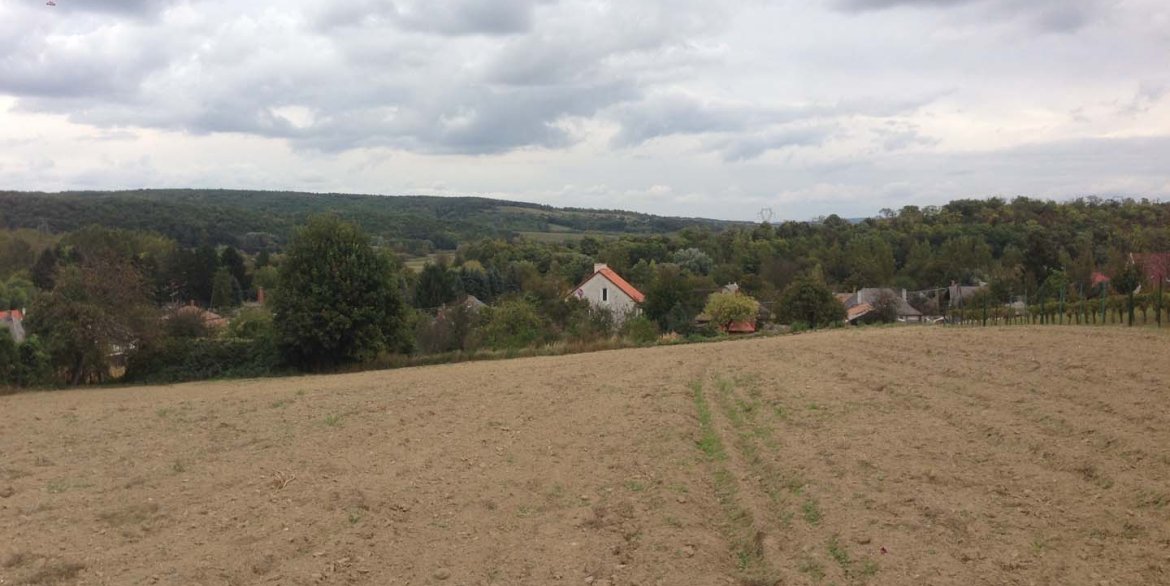 Bakonyszentkirályi eladó telkek