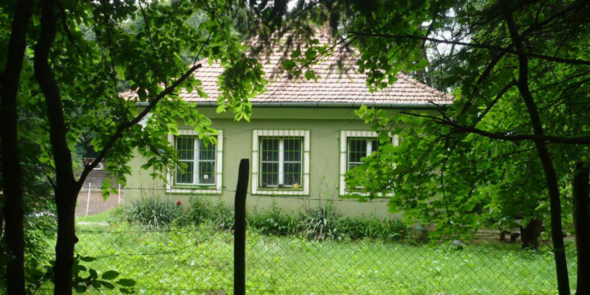 Veszprém-Külterület 025/2 hrsz