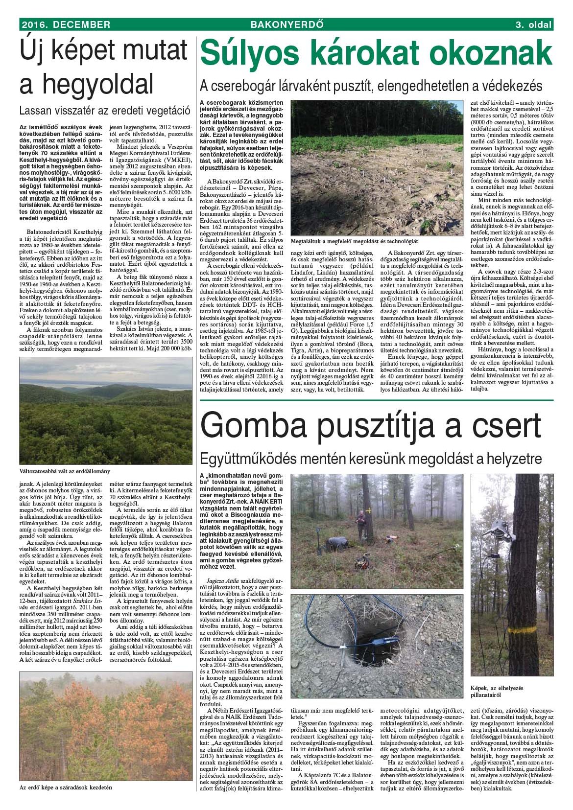 Vállalati újság 2016. december - XLII. évfolyam, 4. szám 3. oldal