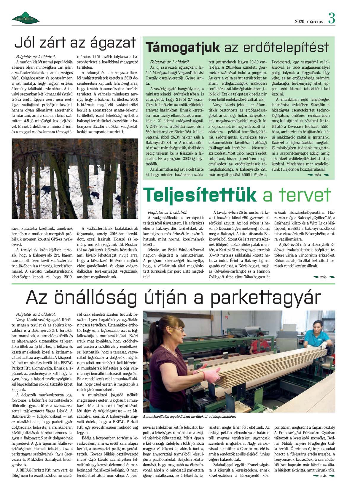 Vállalati újság 2020. március - XLV. évfolyam, 1. szám 3. oldal