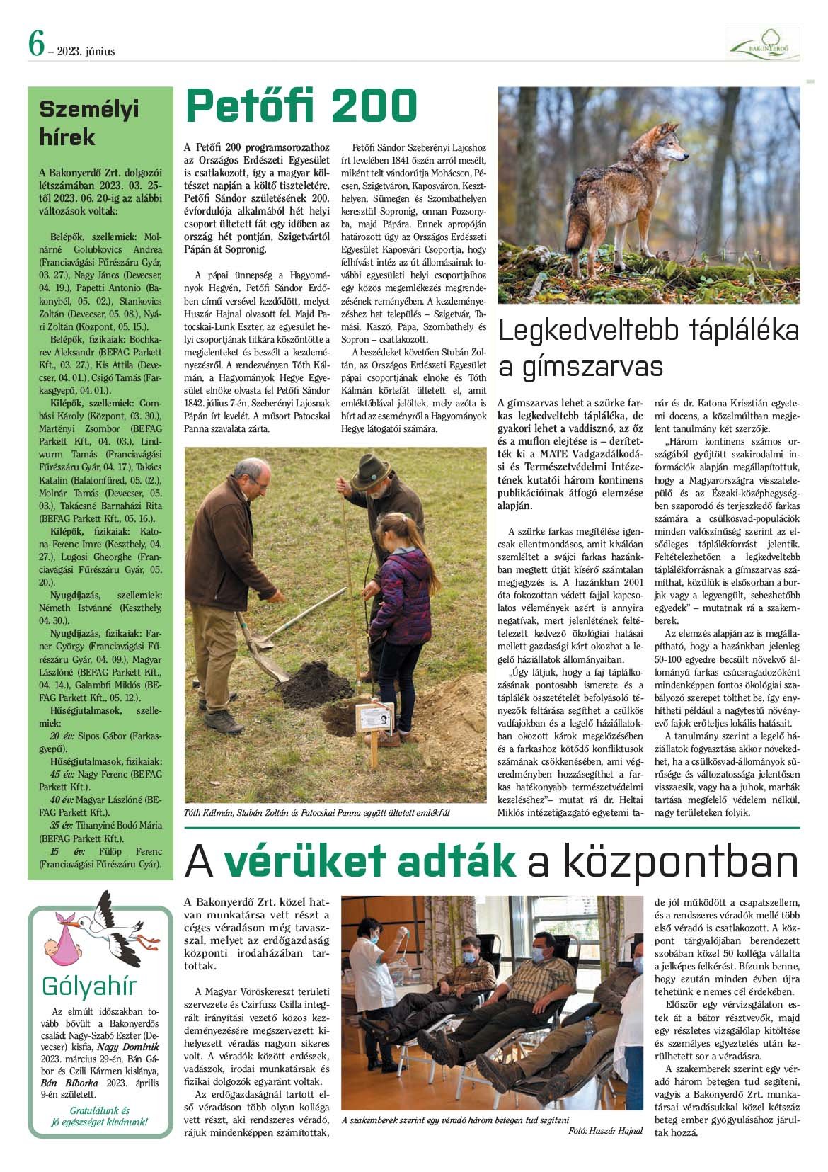 Vállalati újság 2023. június - XLVIII. évfolyam, 2. szám 6. oldal