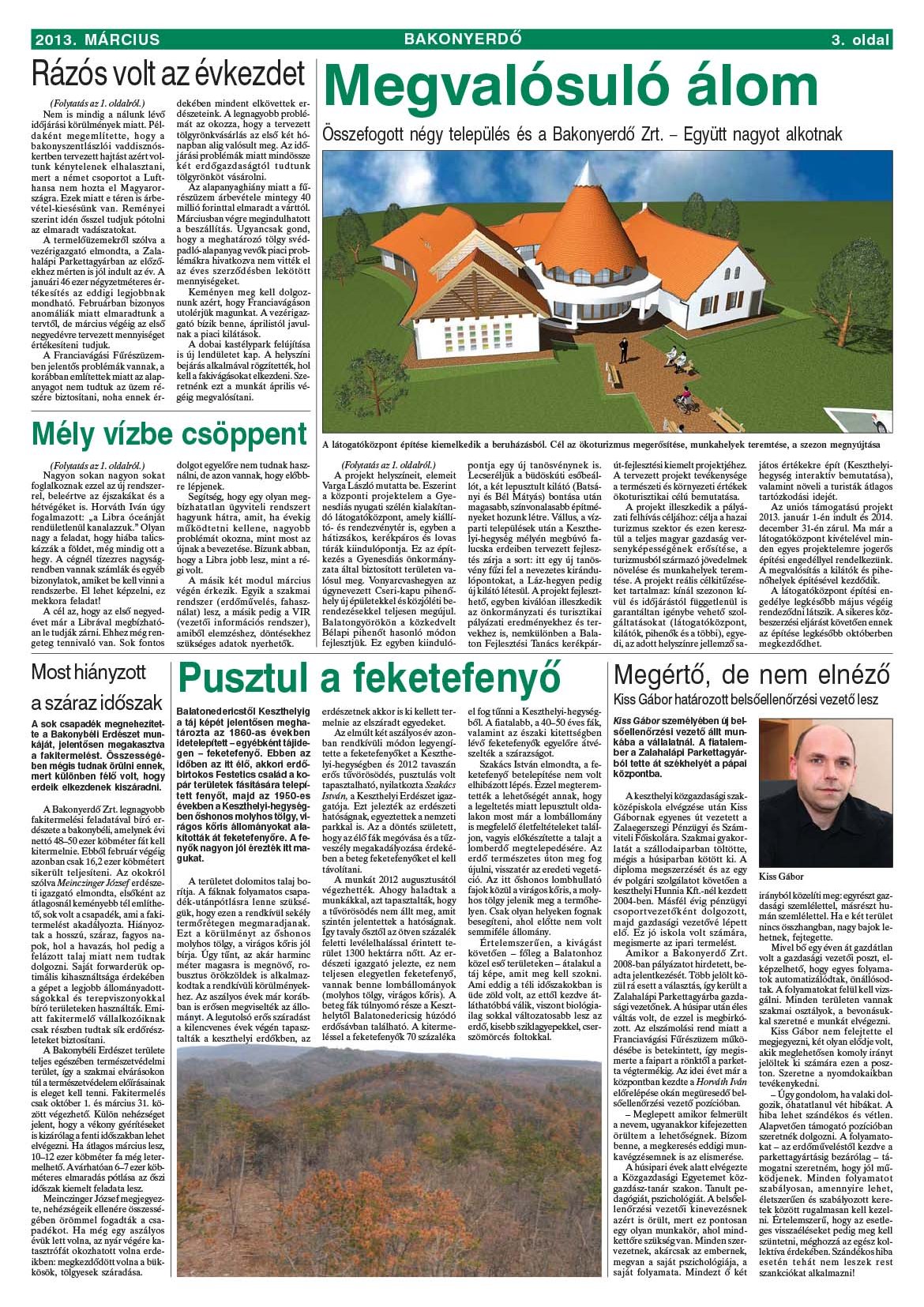 Vállalati újság 2013. március - XXXIX. évfolyam, 1. szám 3. oldal