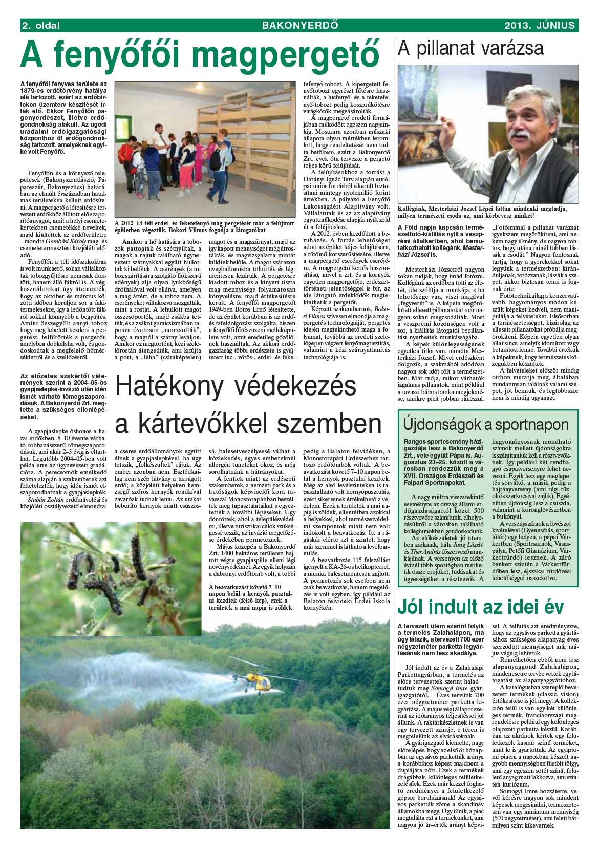 Vállalati újság 2013. június - XXXIX. évfolyam, 2. szám 2. oldal
