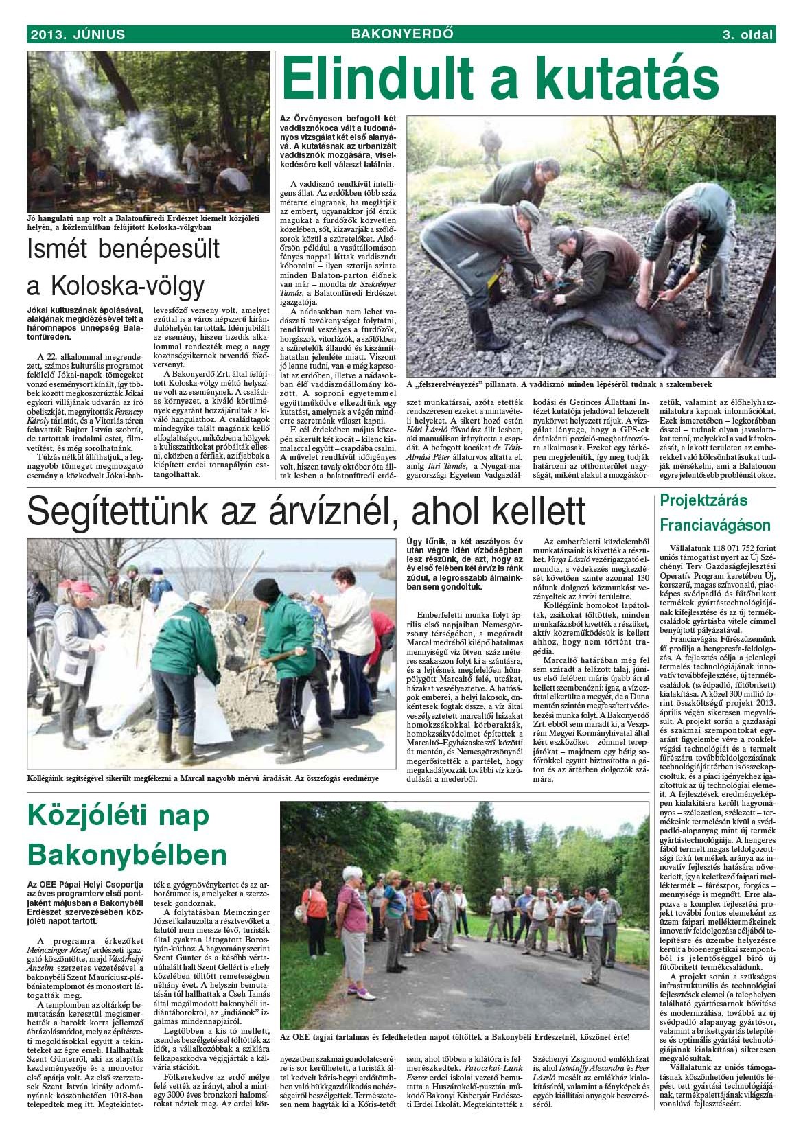 Vállalati újság 2013. június - XXXIX. évfolyam, 2. szám 3. oldal